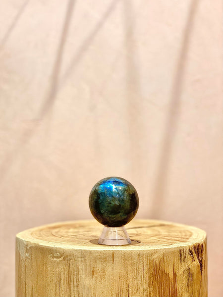 Clear Plastic Cone - The Wong Way