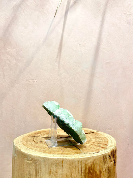 Clear Plastic Stand - The Wong Way