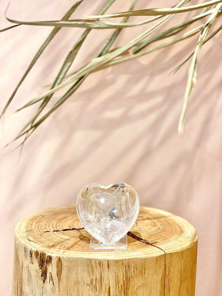 Clear Plastic Stand - The Wong Way