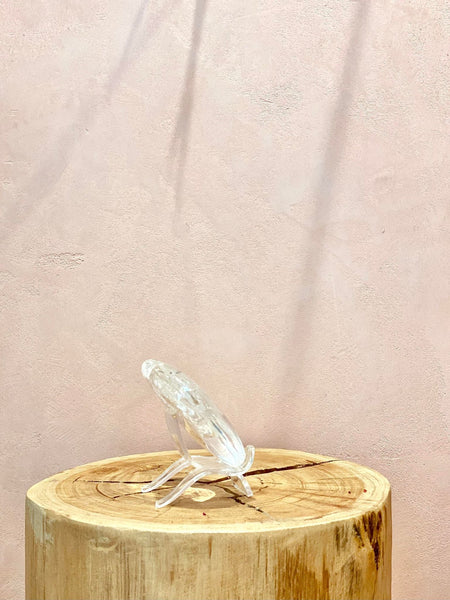 Clear Plastic Stand - The Wong Way