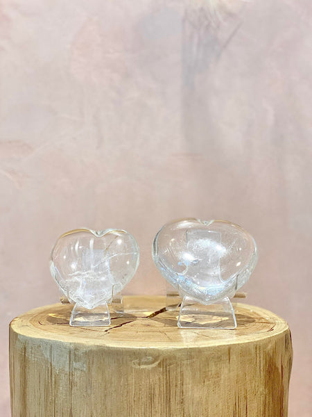 Clear Plastic Stand - The Wong Way