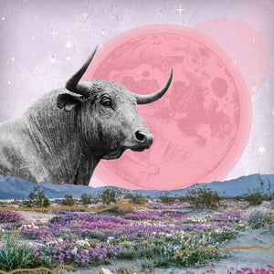 Full Moon and Lunar Eclipse in Taurus