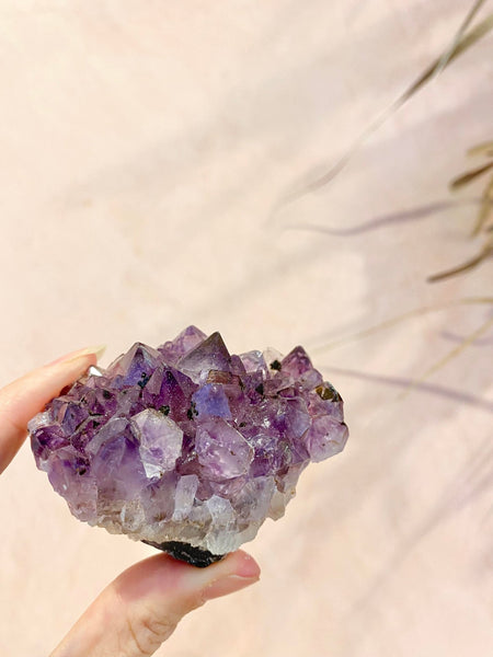 Amethyst Cluster - The Wong Way