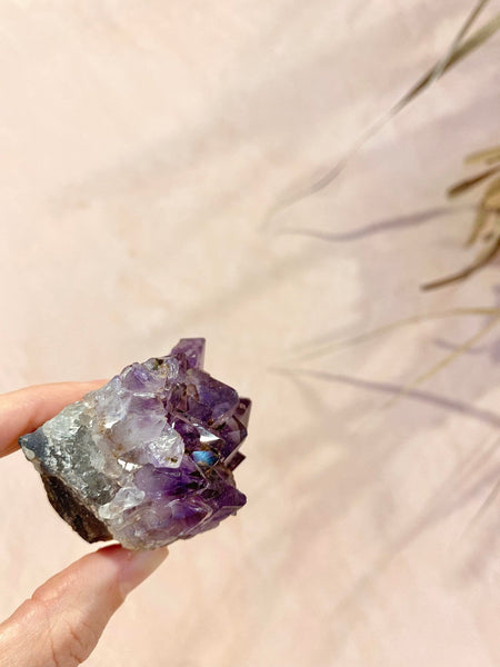 Amethyst Cluster - The Wong Way