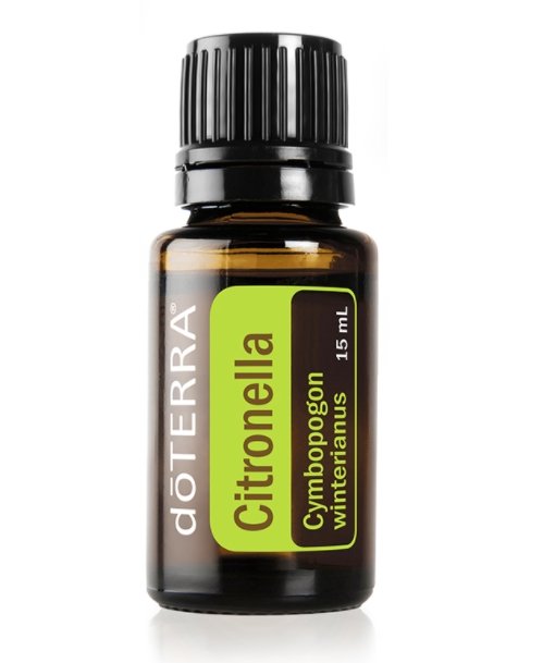 Citronella - The Wong Way