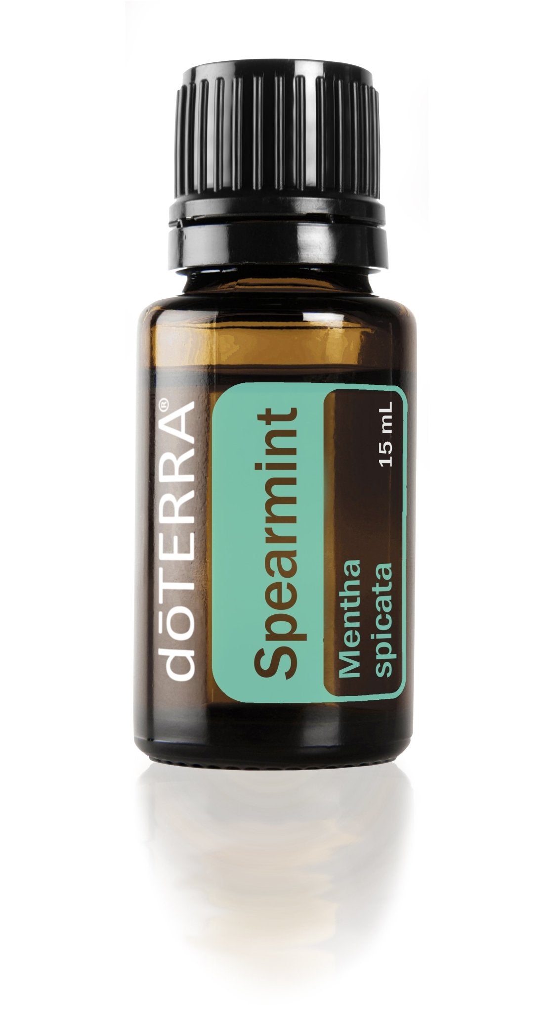 Spearmint - The Wong Way
